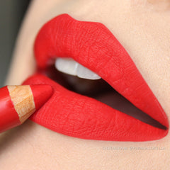 Shade Lipstix - IBYBeauty.com